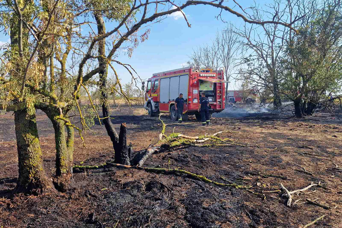 Balesetek és tüzek adtak munkát a tűzoltóknak Csongrád-Csanádban