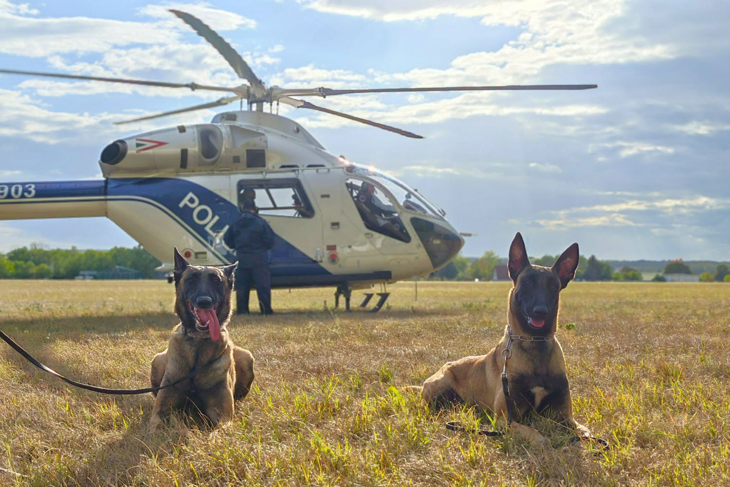 Helikopteres gyakorlaton vizsgáztak jelesre a HUNOR mentőkutyásai