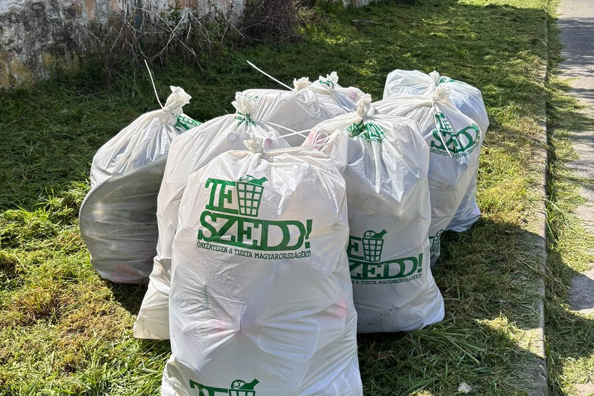 te szedd