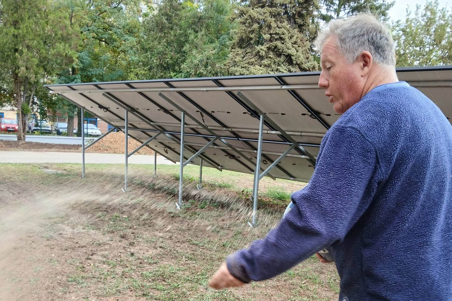 Biodiverz gyep a napelempark alatt: újabb őshonos fajokkal gazdagodik a Szegedi Vízmű Rókusi átemelője