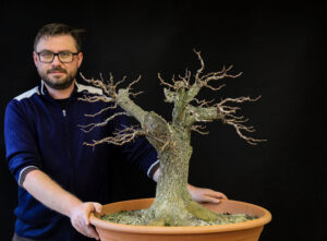 Ezeréves keleti hagyomány Szegeden: a bonsai-nevelés titkait mutatják be a Füvészkertben